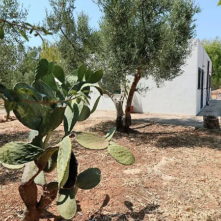 Sabea 4* גאליפולי