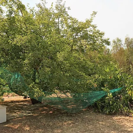 Sabea 4* גאליפולי